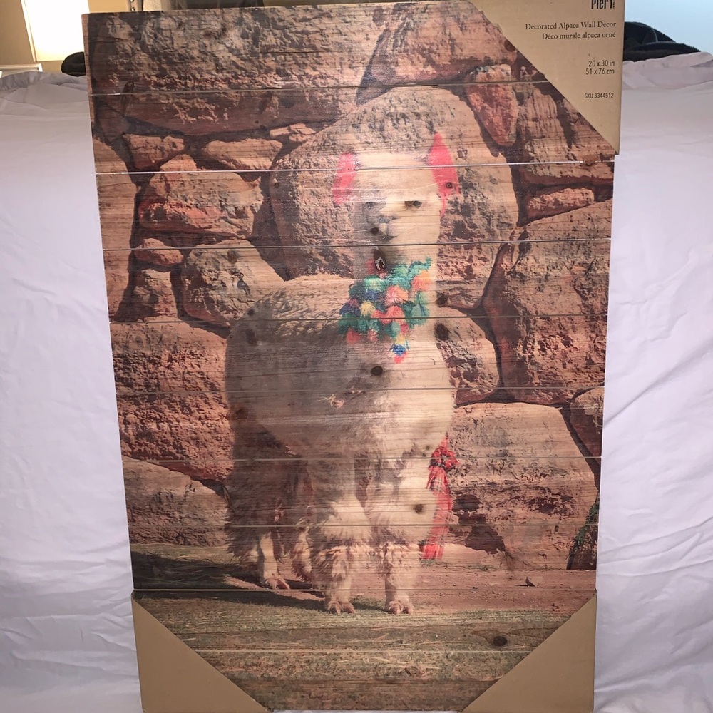 Pier 1 Alpaca wall art